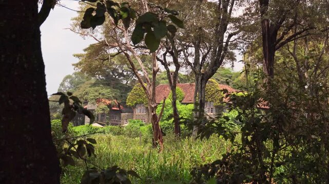 Nairobi, Kenya - 13th october, 2025: historic Giraffe Manor house nestled in a lush acacia forest in Nairobi, Kenya. Highlights iconic colonial architecture and sanctuary scenery