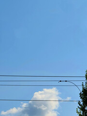 Fototapeta premium Electric power lines under a clear blue sky with white clouds