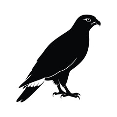 Fototapeta premium Black and white silhouette of a raptor bird standing on one leg, detailed vector illustration, hawk silhouette vector illustration