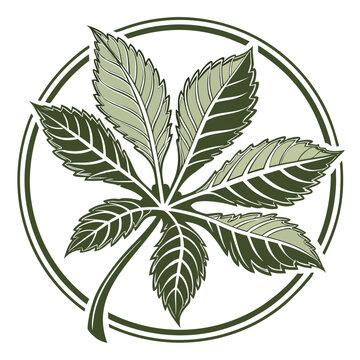 A green leafy plant with a circular design