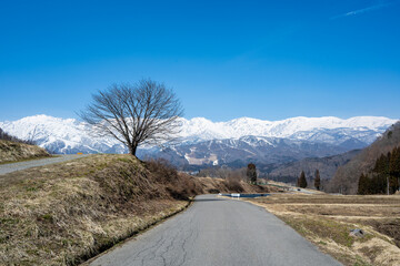北アルプスの山並み　長野県白馬村 © RATM