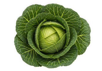 Obraz premium A vibrant green cabbage with tightly packed leaves displayed against