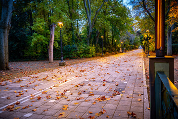 Valladolid ciudada europea de España centrla en invierno al anochecer 