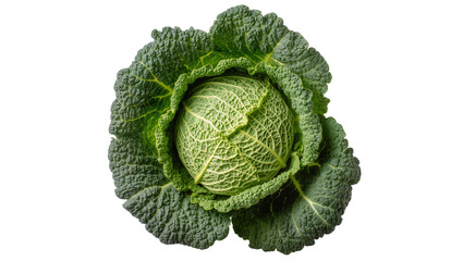 Obraz premium Dense dark green Savoy cabbage head with tightly packed textured leaves, isolated on transparent background for healthy food designs