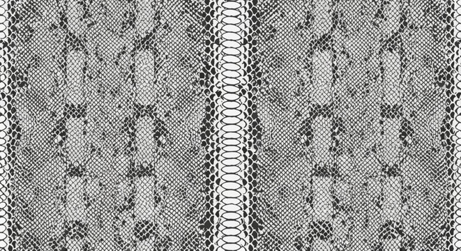 Seamless monochrome snake skin texture pattern featuring detailed black and white reptilian scales and a central spinal ridge, suitable for fashion textile design and background.