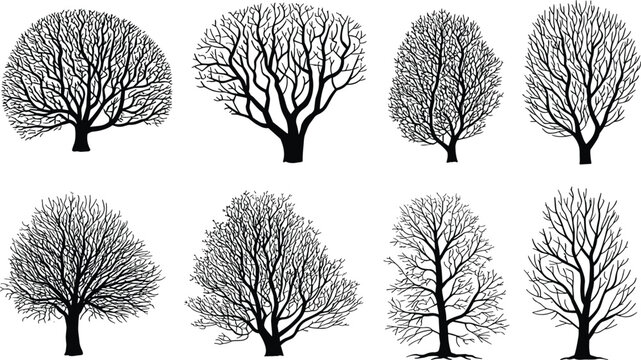 Silhouette illustration of eight leafless deciduous trees with diverse branching patterns, winter forest artwork showing botanical diversity, natural shapes, seasonal design inspiration