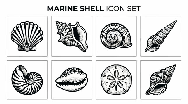 Vector icons of marine shells including scallop, conch, spiral, turret, nautilus, cowrie, and sand dollar for ocean design, coastal education, and artistic illustration themes