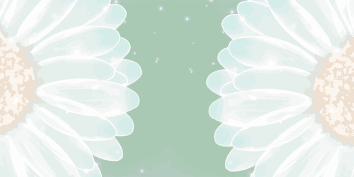 Close up of two white daisy flowers with light green background.