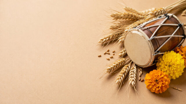 Baisakhi harvest festival background with dhol drum, wheat ears and marigold flowers.
