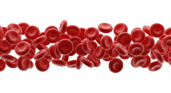 Numerous vibrant crimson erythrocytes, detailed biconcave discs in dynamic flow, macro perspective on a transparent background, concept of scientific precision and medical research