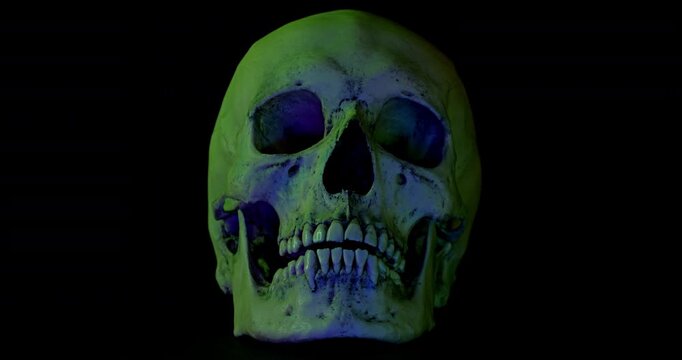 Human Skull with Color Lights . Video of motionless human skull with dramatic color-changing color lights on black background.