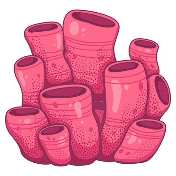 hand-drawn sea sponge coral illustration, Featuring hollow tubular structures and a bright magenta-pink hue