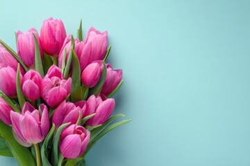 Obraz premium Beautiful pink tulips bouquet arranged on soft blue background with copy space