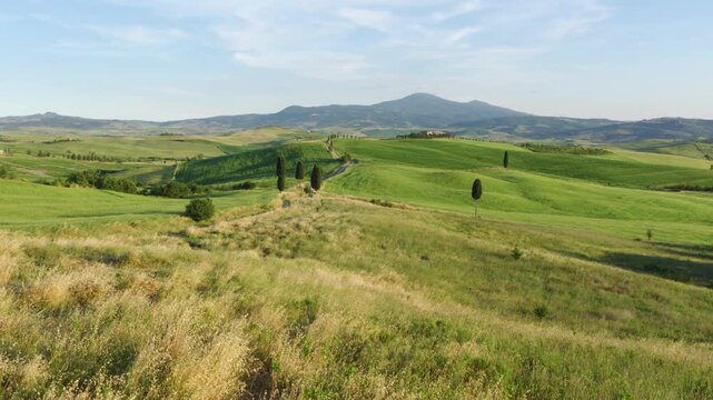 Terrapille Farm Road Through Rolling Hills, Tuscany, Italy