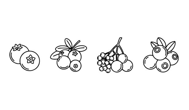 Berry thin line icon set blueberry cranberry elderberry vector