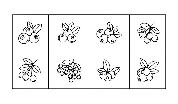 Thin line berry icons collection blueberry cranberry vector set