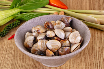 Raw fresh wild clams mollusc © Andrei Starostin