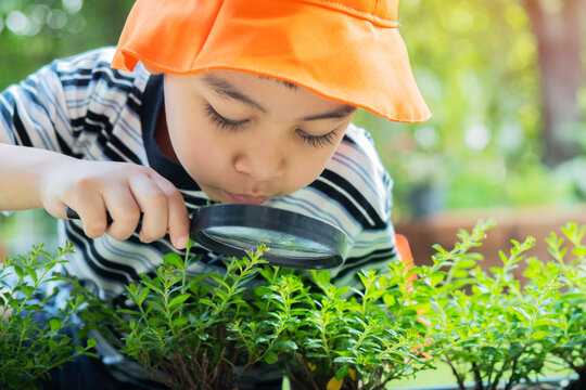 Happy little boy wearing orange hat with magnifying glass explorer and learning the nature