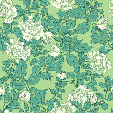 Seamless floral pattern with white roses on a green background.