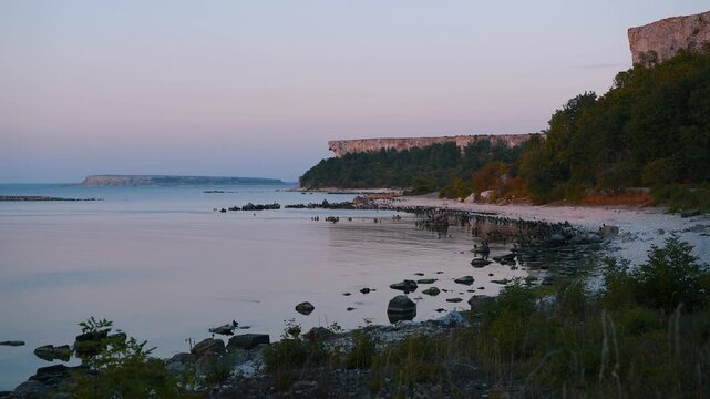 Cormorants on Stora Karls&ouml; coastline with Lilla Karls&ouml; island on the horizon at dusk, Gotland, Sweden