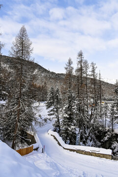 Pontresina, Val Bernina, Langlauf, Langlaufloipe, Berninabach, Ova da Bernina, Via da Bernina, Berninapass, Wintersport, Engadin, Graub&uuml;nden, Alpen, Winter, Winterlandschaft, Gefahr, Schweiz