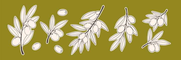 Olive branch clipart set in line art style. Hand drawn vector illustration collection of olives and leaves isolated on green background for scrapbooking, packaging, branding and food design © Svitla