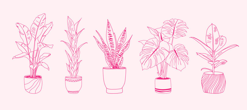 Hand-drawn set of potted tropical houseplants in pink line art on light background.