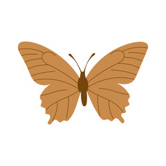 Fototapeta premium Butterfly Illustrations
