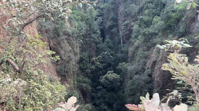 View of narrow gorge surrounded by lush vegetation. Handi Khoi, India