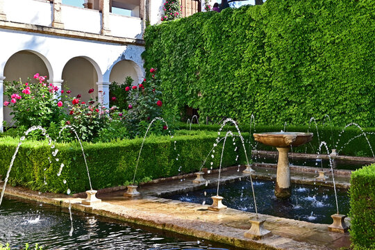 Granada, giardini, roseti e fiori del complesso del Generalife dell'Alhambra, Andalusia, Spagna