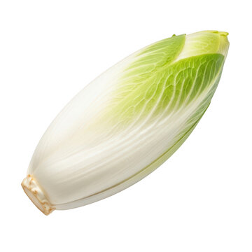 A crisp head of endive on a white background isolated on transparent background