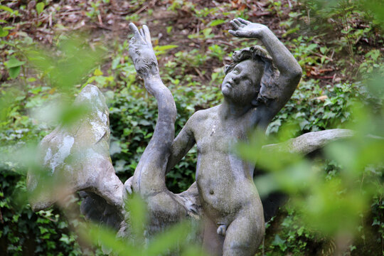 Schwanenteich in Detmold (Schwan mit Knaben)