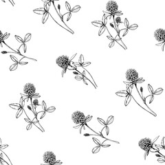Hand drawn clover flowers and leaves in a seamless pattern. Vintage botanical sketch of wildflowers. Black and white ink line art for wallpaper, textile, and wrapping paper. © Modesta