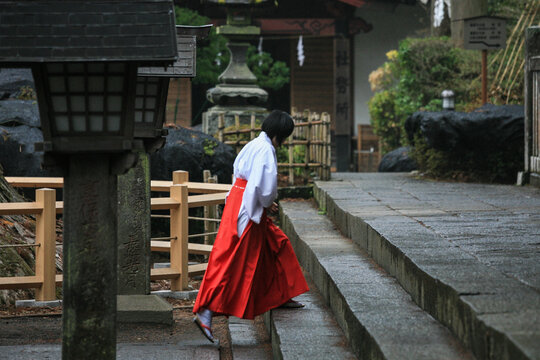 Shinto Shrine Maiden Walking in Traditional Clothing at Japanese Shrine
