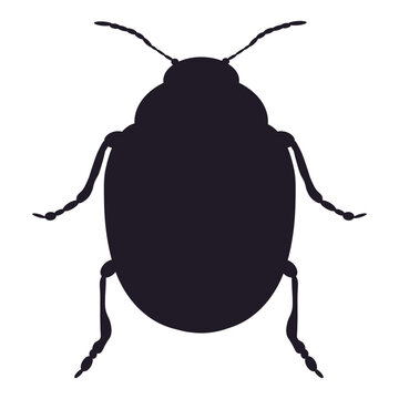 Black silhouette of Colorado potato beetle. Insect pest symbol for agriculture and garden use