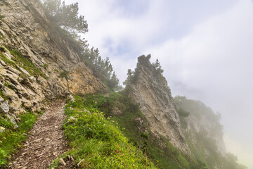 View on the hiking trail from Hoher Kasten mountain toward Saxer Lücke rock formation in the Appenzeller Alps. Alpine hiking trail with rocks and pine trees. Foggy summer day in the Swiss Alps.