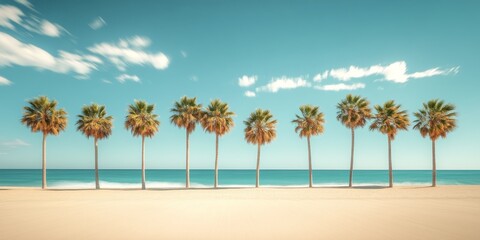 Fototapeta premium Row of palm trees growing on tropical sandy beach