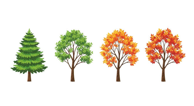 Four trees displaying seasonal color changes from green to autumn orange isolated on transparent background
