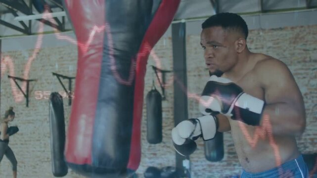 Vertical video: Male boxer starting boxing combos, throwing jabs at bag, ECG HUD tracking training