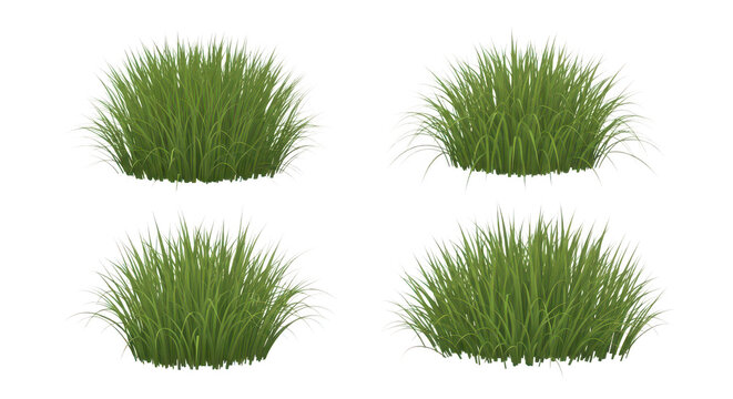 Four patches of green grass clumps arranged in a square formation isolated on transparent background