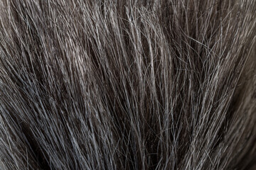 Naklejka premium Close up gray hair texture with organic natural pattern background