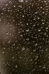 rain drops on the window