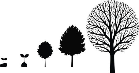 Fototapeta premium set of trees