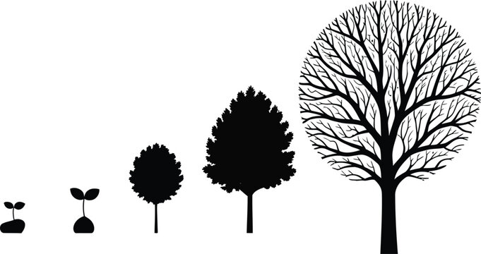 set of trees