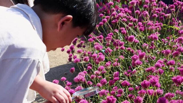 Children Studying Pink Flowers with Magnifying Glass in Garden