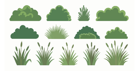 Collection of bushes, grass, and reed plants vector illustration isolated © MdRaisul