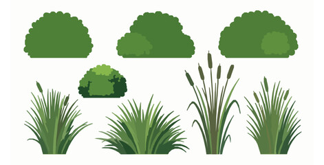 Lush bushes, grass, and reed plants vector set flat illustration on white background © MdRaisul