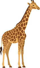 Obraz premium Animals Illustration