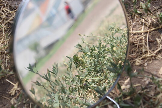 abstruct reflection in Mirror