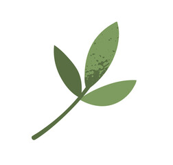 Fototapeta premium Leaf branch, green plant. Fresh nature decoration. Leaves twig, sprig, abstract spray. Greenery decor. Decorative botanical design element. Flat vector illustration isolated on white background